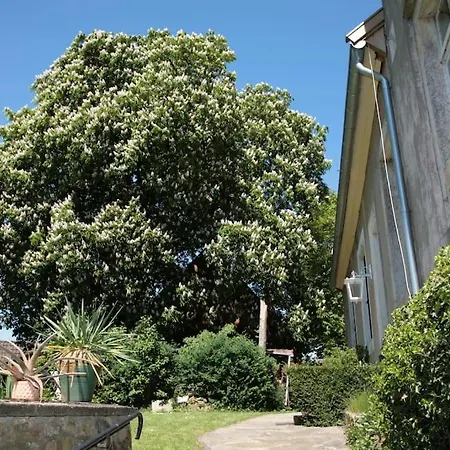 Haus Keppelborg: Zi Ferdinand Mit Rosengartenblick