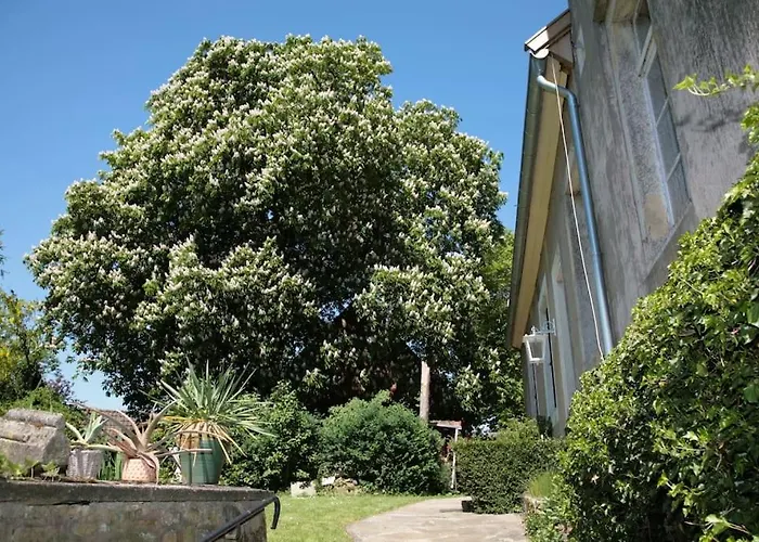 Haus Keppelborg: Zi Ferdinand Mit Rosengartenblick